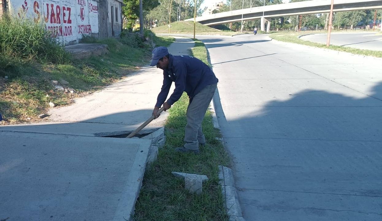 Reparan veredas levantadas por el intenso calor en avenida Alsina y Pastor Mujica
