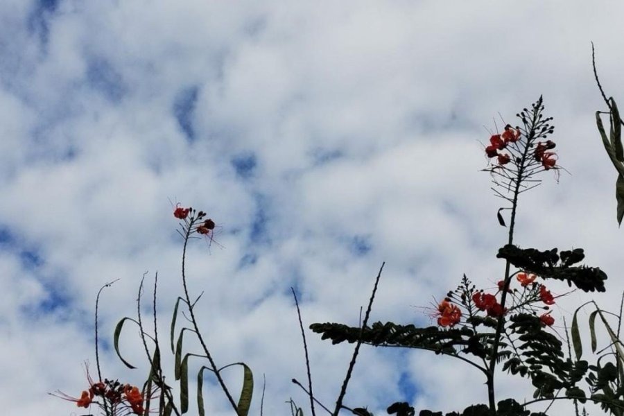 La máxima alcanzará los 30º este lunes en Santiago del Estero