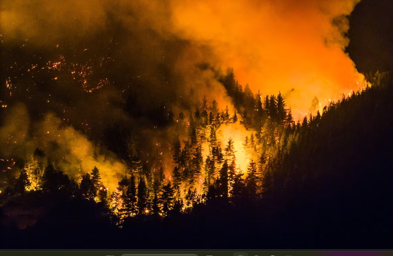 País: El Gobierno acordó declarar por DNU la Emergencia Ígnea para las provincias afectadas por los incendios en el sur