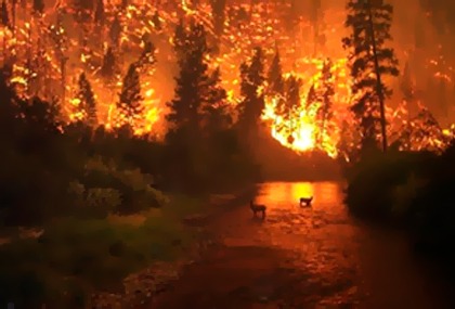 "Es imposible frenarlo": el fuego ya arrasó 40 mil hectáreas en el sur