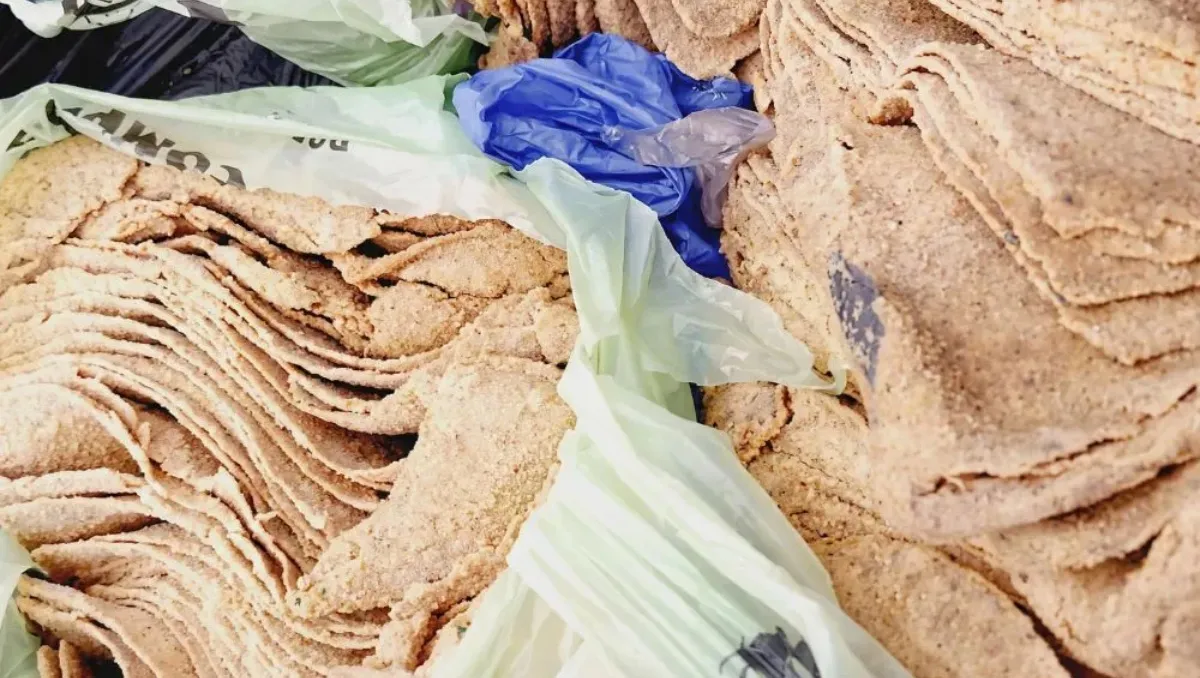 Tucumano pretendía vender más de 400 milanesas falsas: confirmaron que no eran de carne