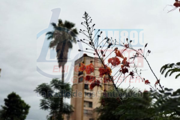 Martes con cielo cubierto y una máxima de 35° en Santiago del Estero