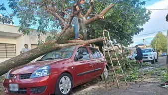 Violento temporal sacudió La Pampa y dejó graves daños