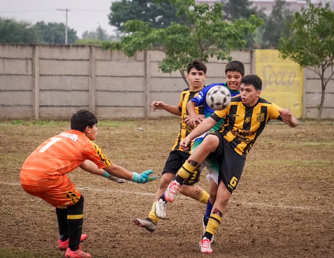 Vuelven los entrenamientos de las formativas en el Club Mitre