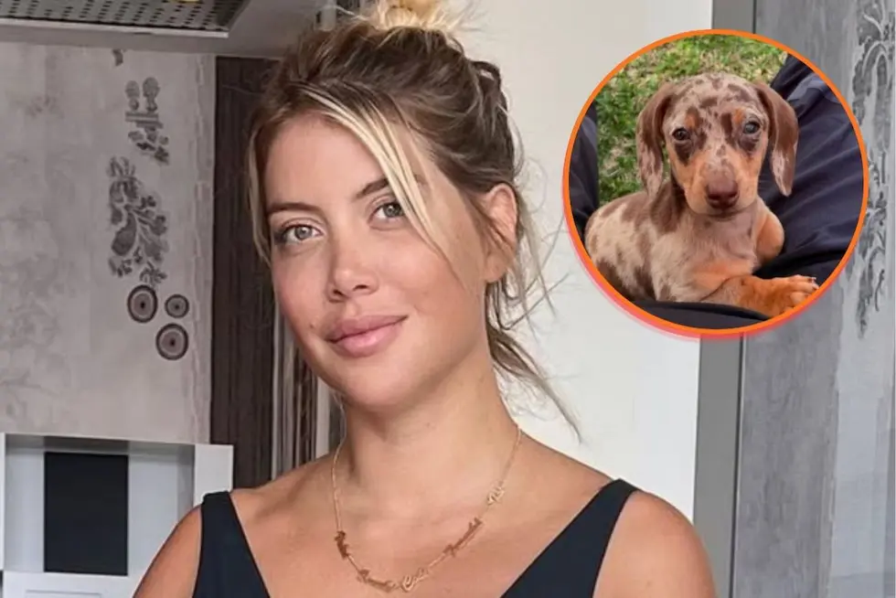 Escándalo en Nordelta: vecinos denunciaron a Wanda Nara por presunto abandono de sus mascotas