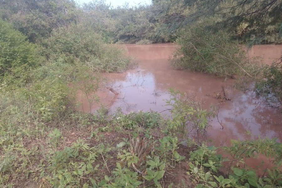 Realizan trabajos de refuerzo en las defensas de Taco Atún y descartan desbordes