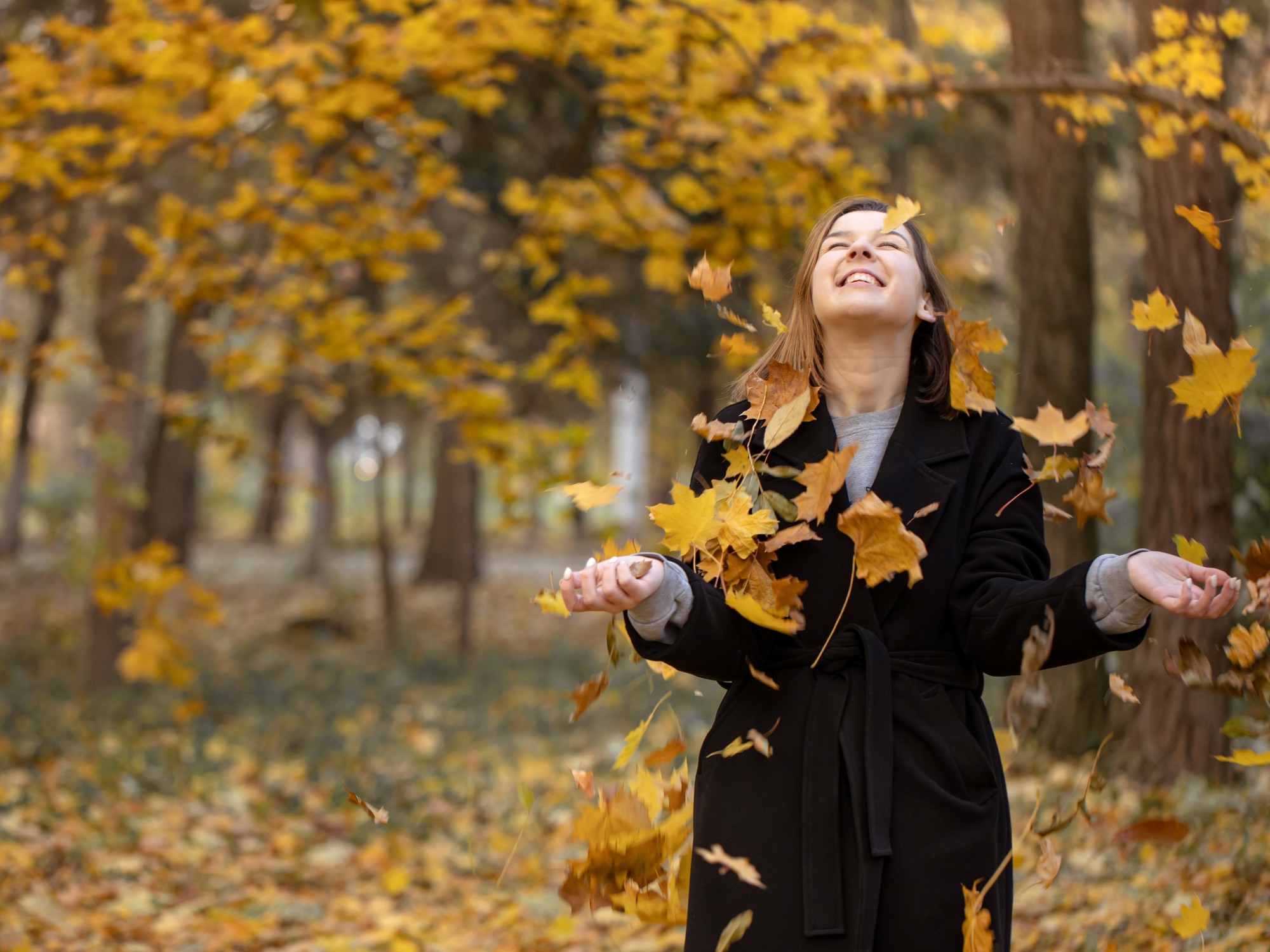 Llegó el otoño: este viernes se produce el equinoccio y cambia la estación