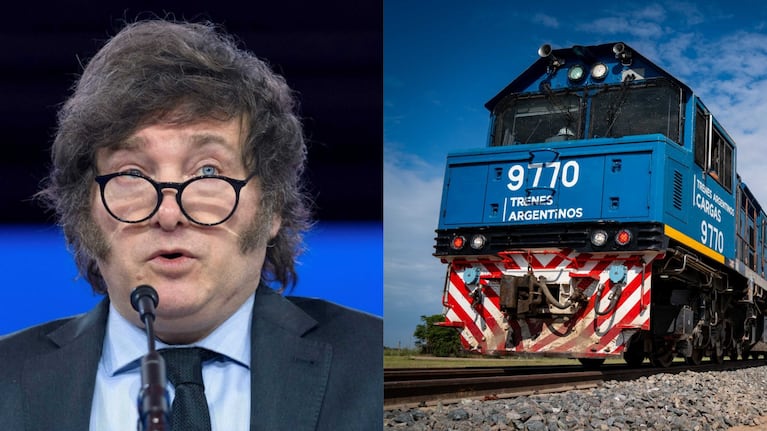 Privatización del Belgrano Cargas: el plan de USD 3.000 millones para transformar el tren